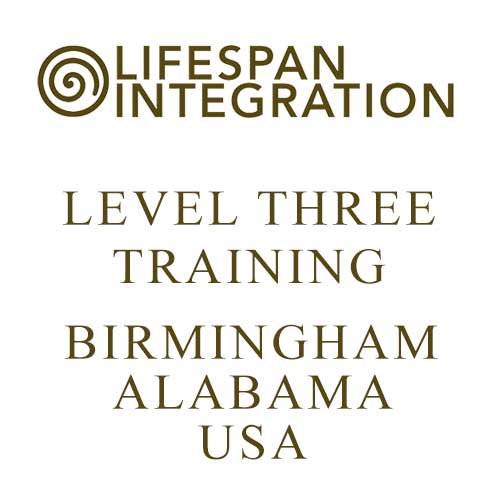 Level Three Lifespan Integration Training Birmingham Alabama