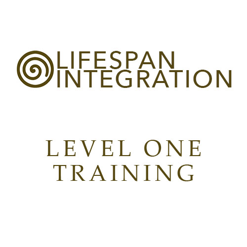 Level one Lifespan Integration training